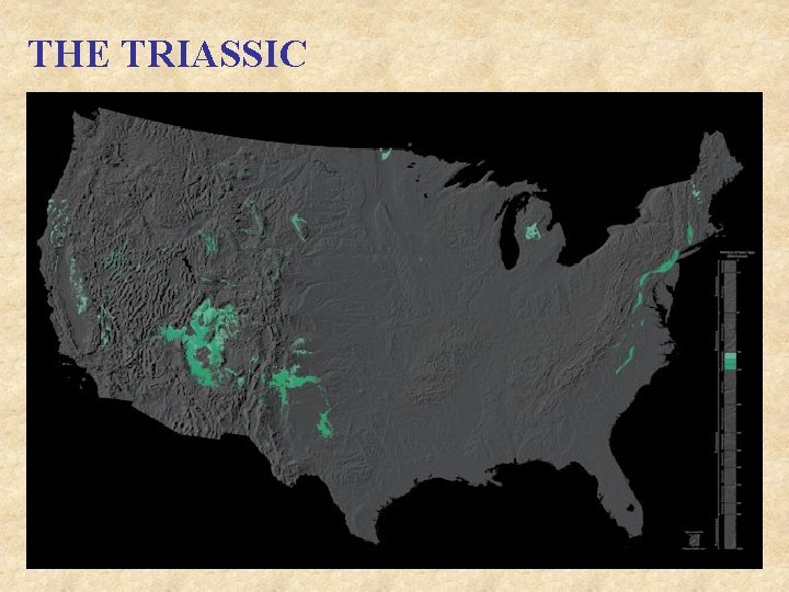 THE TRIASSIC 