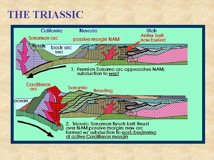 THE TRIASSIC 