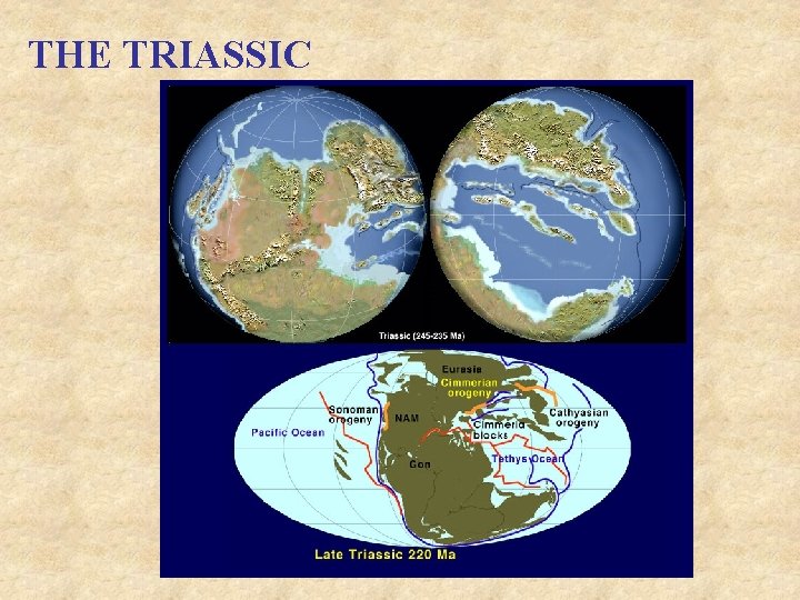 THE TRIASSIC 