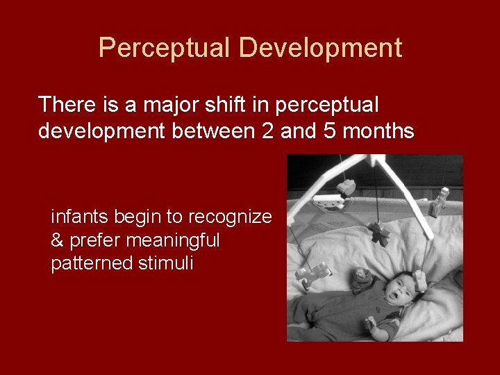 Perceptual Development There is a major shift in perceptual development between 2 and 5