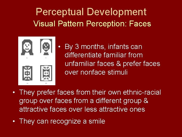 Perceptual Development Visual Pattern Perception: Faces • By 3 months, infants can differentiate familiar