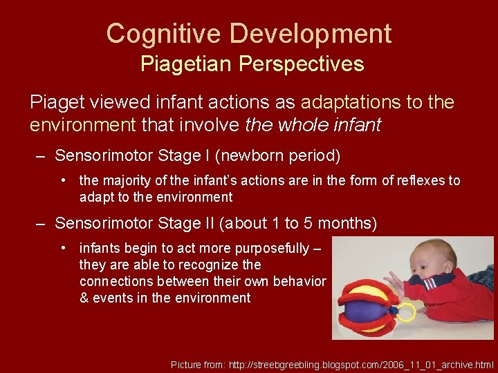 Cognitive Development Piagetian Perspectives Piaget viewed infant actions as adaptations to the environment that