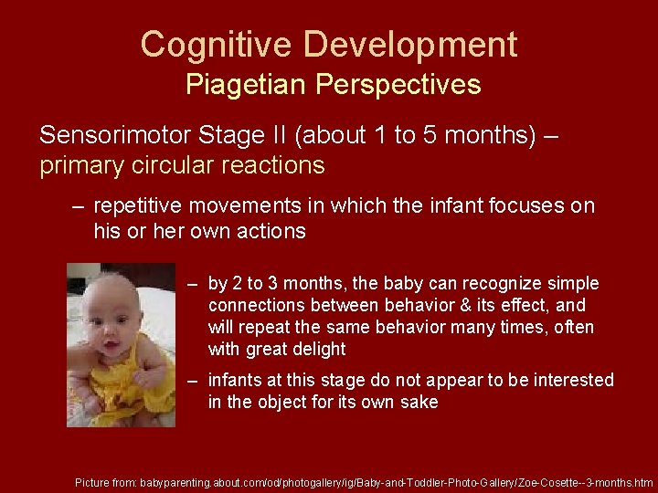 Cognitive Development Piagetian Perspectives Sensorimotor Stage II (about 1 to 5 months) – primary