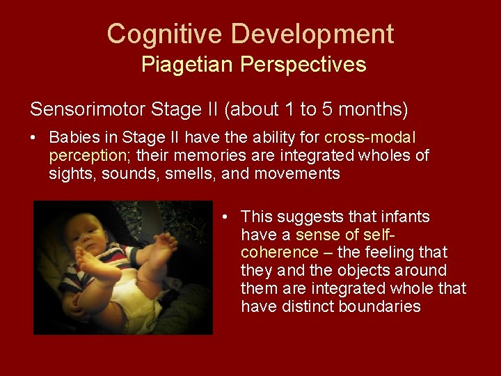 Cognitive Development Piagetian Perspectives Sensorimotor Stage II (about 1 to 5 months) • Babies