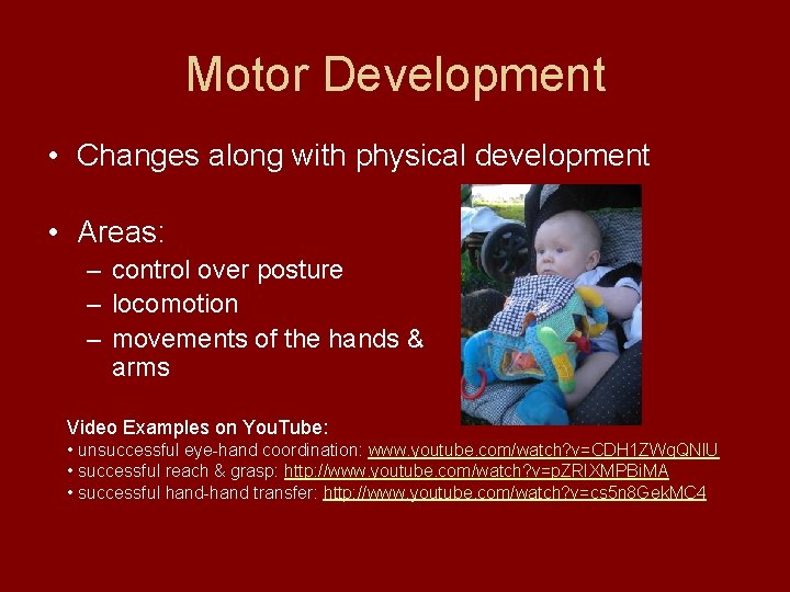 Motor Development • Changes along with physical development • Areas: – control over posture