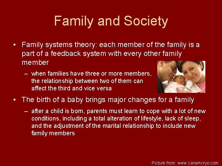 Family and Society • Family systems theory: each member of the family is a