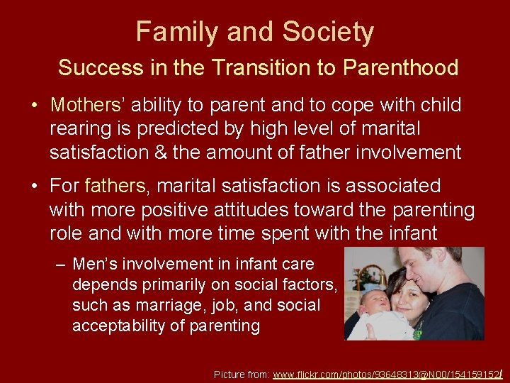 Family and Society Success in the Transition to Parenthood • Mothers’ ability to parent