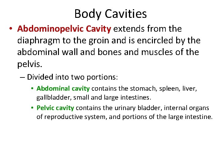 Body Cavities • Abdominopelvic Cavity extends from the diaphragm to the groin and is