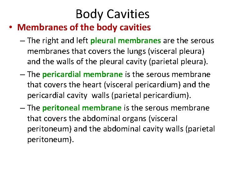 Body Cavities • Membranes of the body cavities – The right and left pleural
