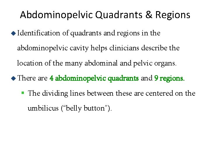 Abdominopelvic Quadrants & Regions u Identification of quadrants and regions in the abdominopelvic cavity