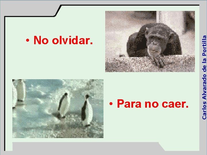  • Para no caer. Carlos Alvarado de la Portilla • No olvidar. 