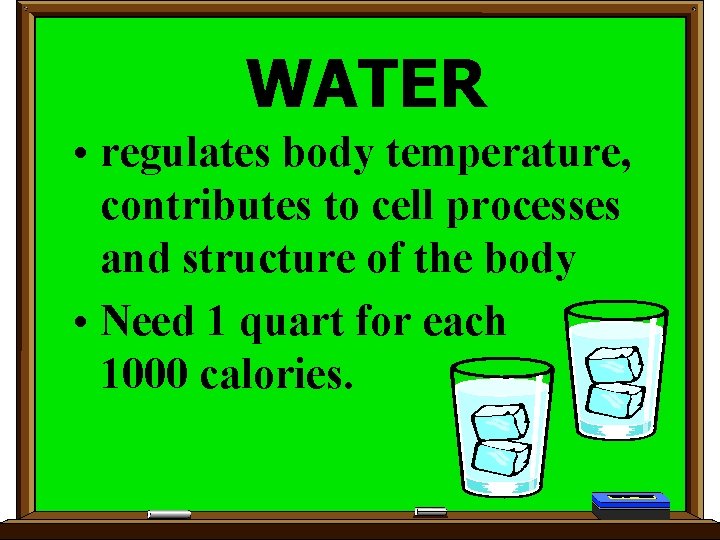 WATER • regulates body temperature, contributes to cell processes and structure of the body