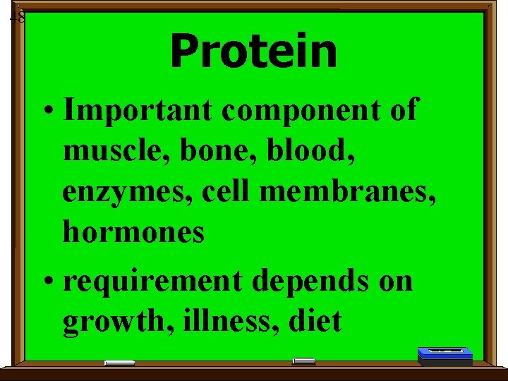 48 Protein • Important component of muscle, bone, blood, enzymes, cell membranes, hormones •