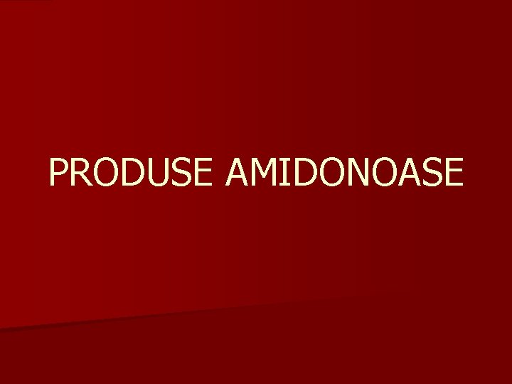 PRODUSE AMIDONOASE 