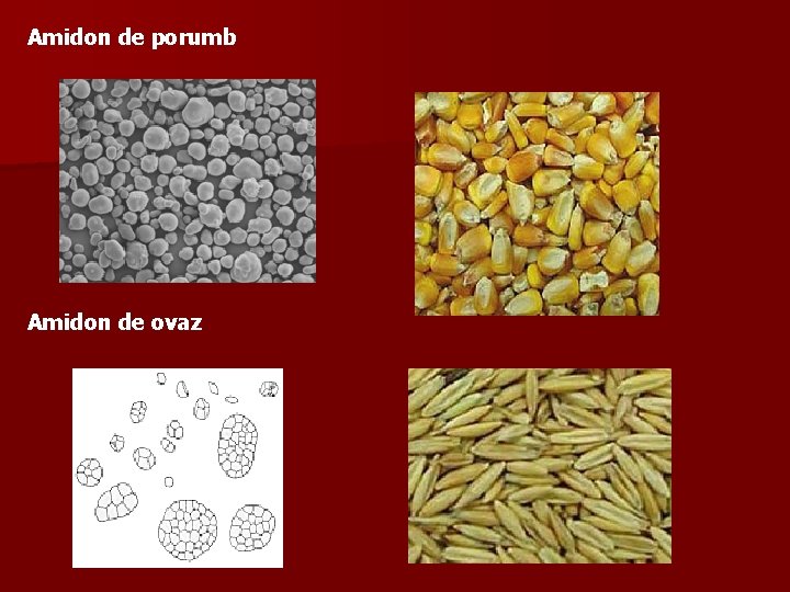 Amidon de porumb Amidon de ovaz 