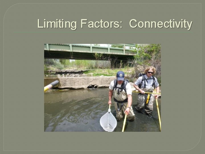 Limiting Factors: Connectivity 