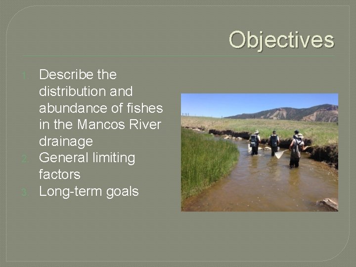 Objectives 1. 2. 3. Describe the distribution and abundance of fishes in the Mancos