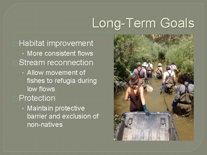 Long-Term Goals � Habitat improvement • More consistent flows � Stream reconnection • Allow