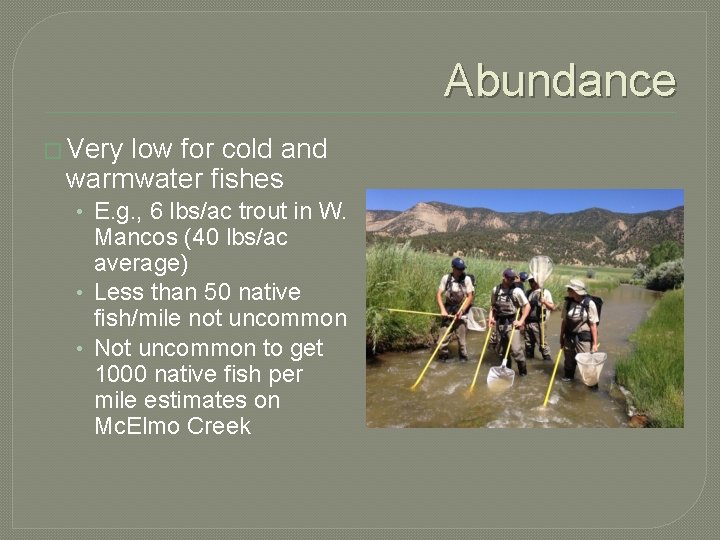 Abundance � Very low for cold and warmwater fishes • E. g. , 6