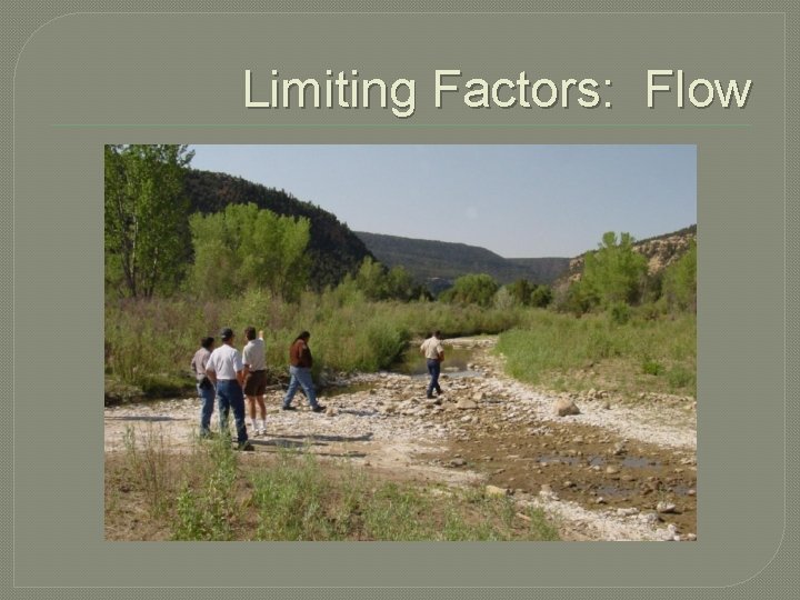 Limiting Factors: Flow 