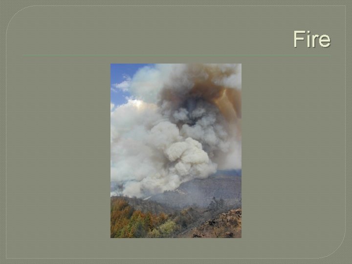 Fire 