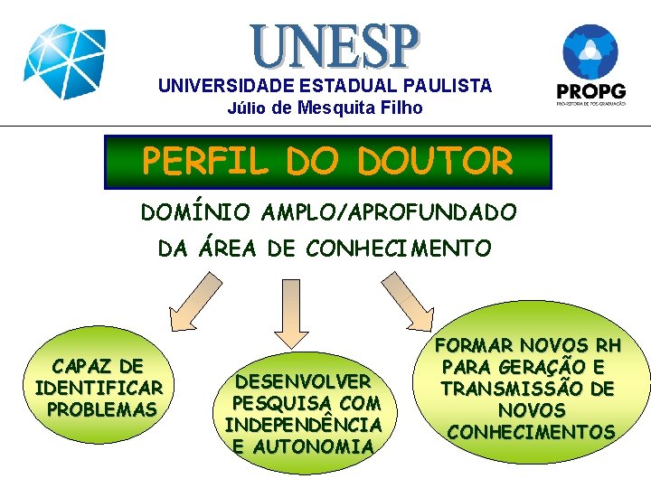 UNIVERSIDADE ESTADUAL PAULISTA Júlio de Mesquita Filho PERFIL DO DOUTOR DOMÍNIO AMPLO/APROFUNDADO DA ÁREA