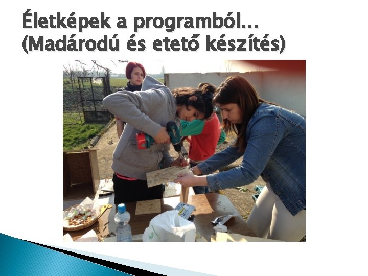 Életképek a programból… (Madárodú és etető készítés) Életképek a programból… (Madárodú és etető készítés)