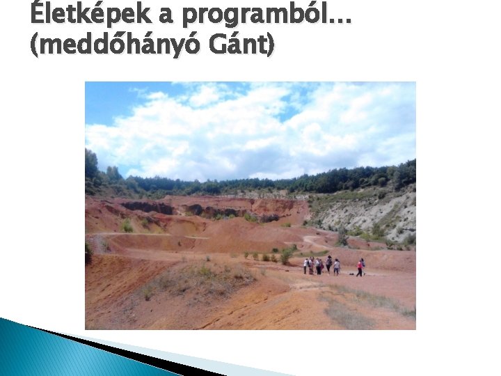 Életképek a programból… (meddőhányó Gánt) Életképek a programból… (meddőhányó Gánt)