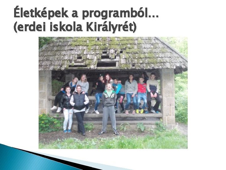 Életképek a programból… (erdei iskola Királyrét) Életképek a programból… (erdei iskola Királyrét)