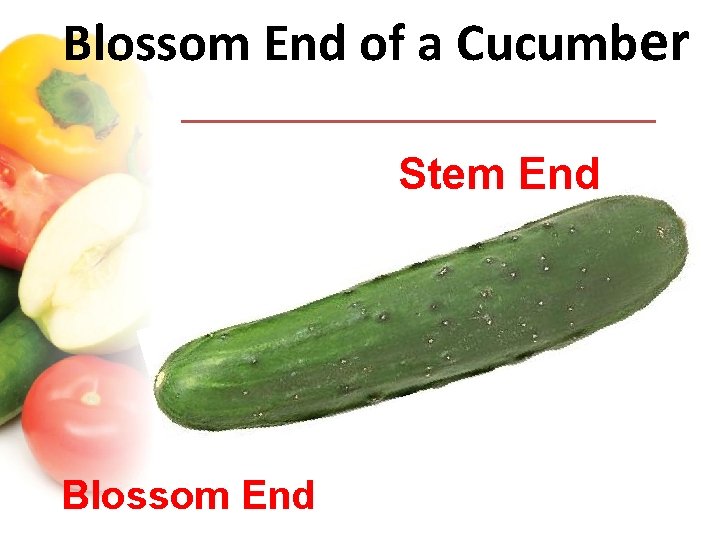 Pickles And Pickled Products Educators Name And Date