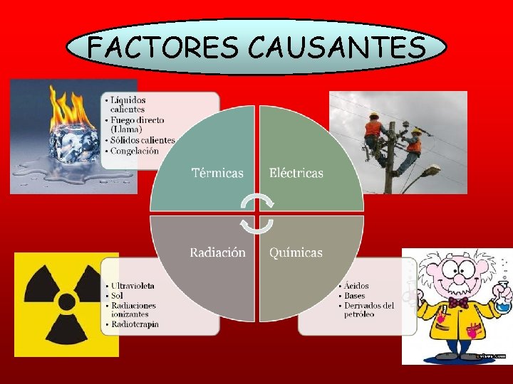 FACTORES CAUSANTES 