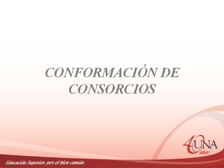 CONFORMACIÓN DE CONSORCIOS 