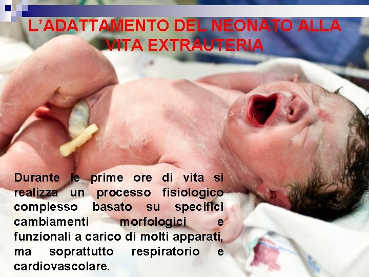 L’ADATTAMENTO DEL NEONATO ALLA VITA EXTRAUTERIA Durante le prime ore di vita si realizza