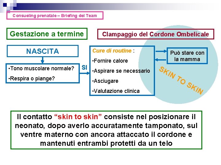 Consueling prenatale – Briefing del Team Gestazione a termine NASCITA Clampaggio del Cordone Ombelicale