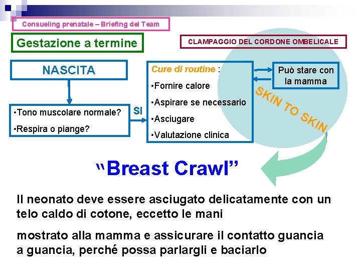 Consueling prenatale – Briefing del Team Gestazione a termine NASCITA CLAMPAGGIO DEL CORDONE OMBELICALE