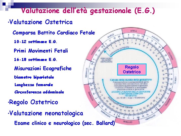 Valutazione dell’età gestazionale (E. G. ) • Valutazione Ostetrica Comparsa Battito Cardiaco Fetale 10