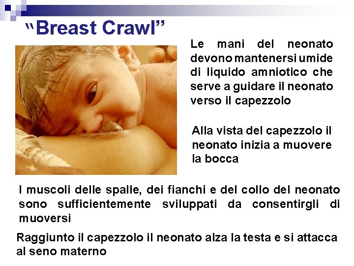 “Breast Crawl” Le mani del neonato devono mantenersi umide di liquido amniotico che serve