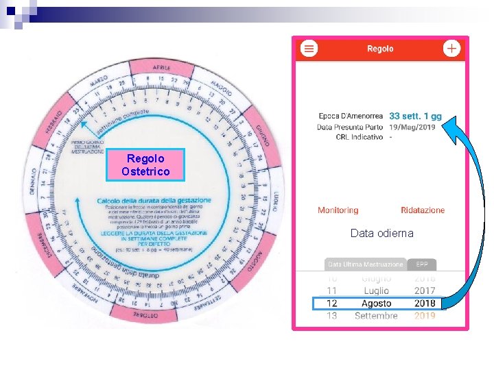 Regolo Ostetrico Data odierna 