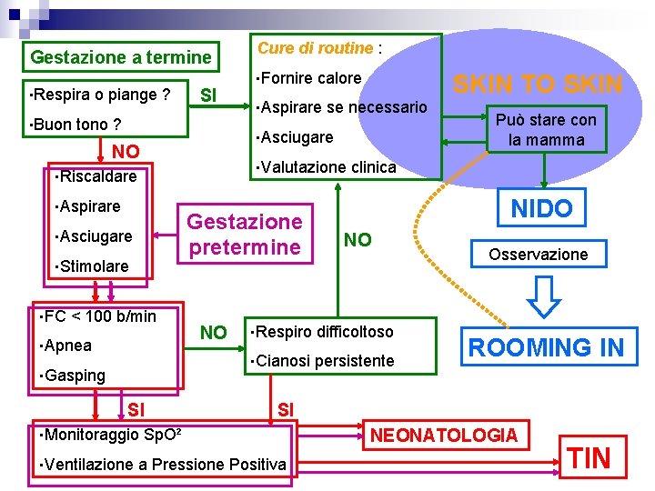 Gestazione a termine • Respira • Buon o piange ? SI tono ? •