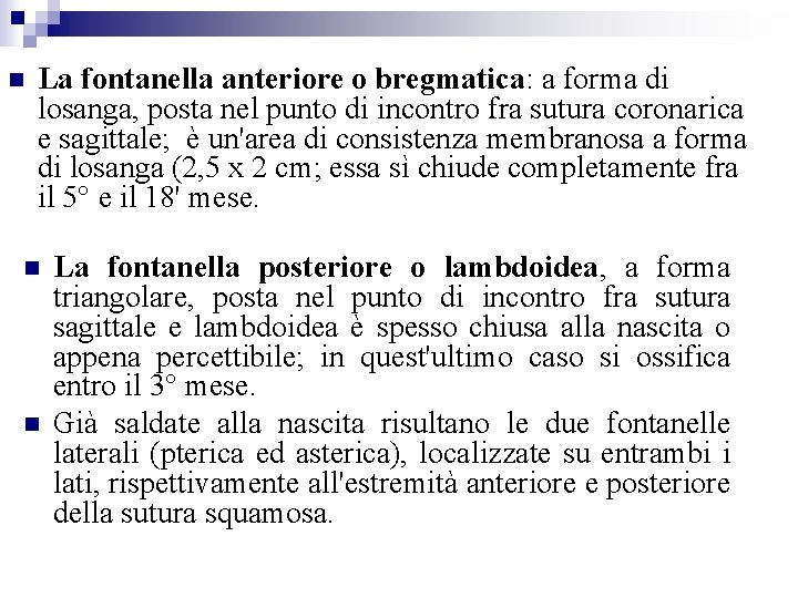  La fontanella anteriore o bregmatica: a forma di losanga, posta nel punto di