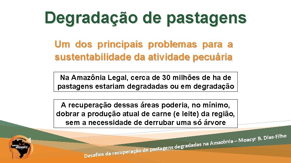 Degradação de pastagens Um dos principais problemas para a sustentabilidade da atividade pecuária Na