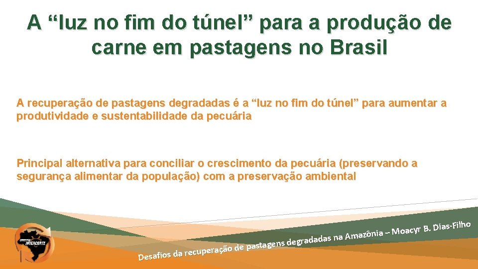 A “luz no fim do túnel” para a produção de carne em pastagens no