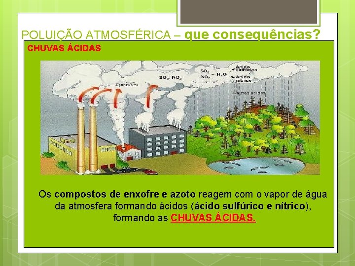 POLUIÇÃO ATMOSFÉRICA – que consequências? CHUVAS ÁCIDAS Os compostos de enxofre e azoto reagem