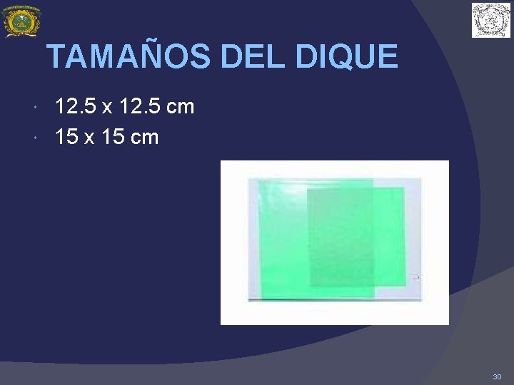 TAMAÑOS DEL DIQUE 12. 5 x 12. 5 cm 15 x 15 cm 30