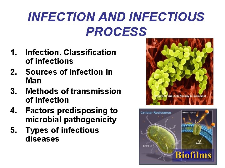 INFECTION AND INFECTIOUS PROCESS 1. Infection. Classification of infections 2. Sources of infection in