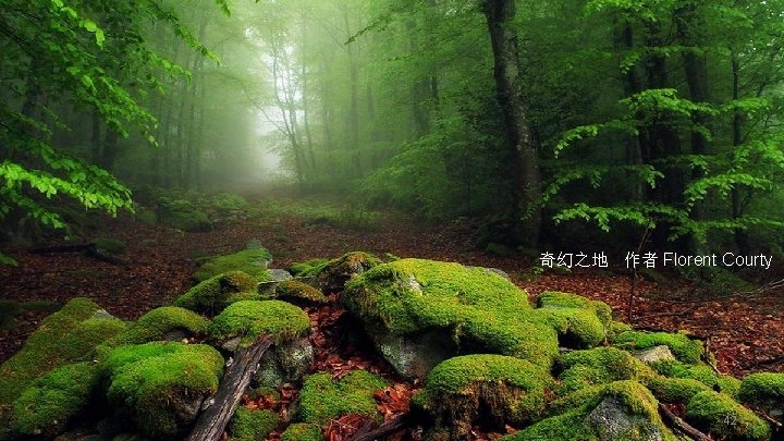 奇幻之地 作者 Florent Courty 42 