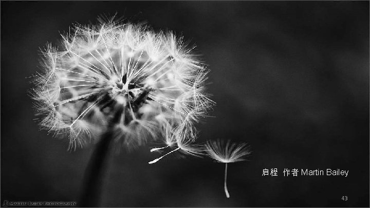 启程 作者 Martin Bailey 43 