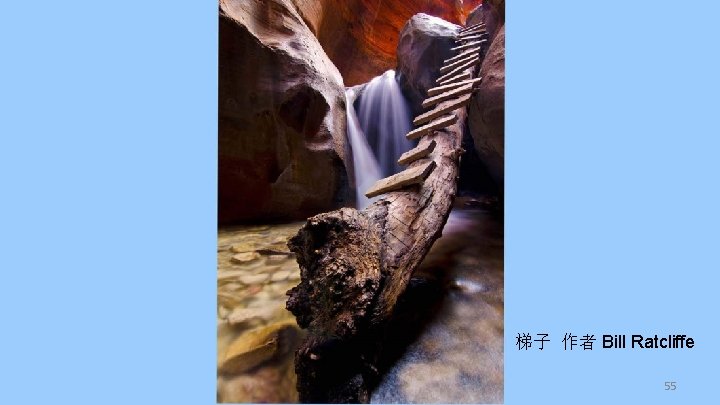 梯子 作者 Bill Ratcliffe 55 