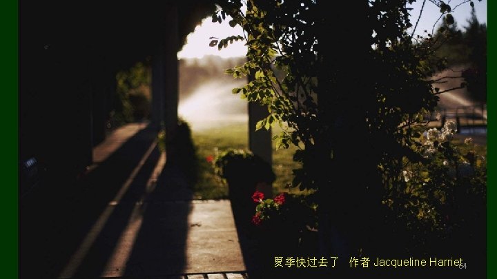夏季快过去了 作者 Jacqueline Harriet 64 