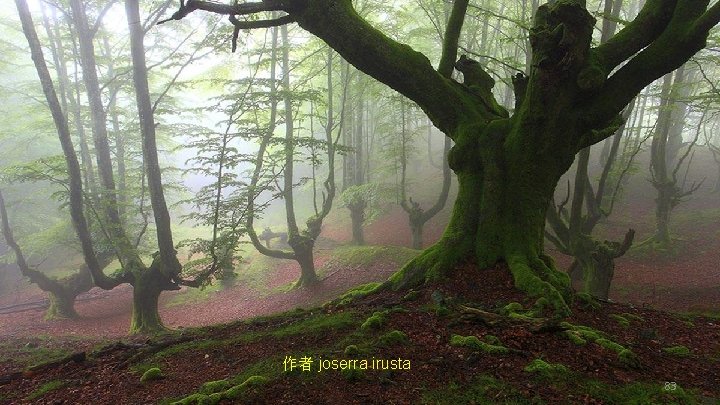 作者 joserra irusta 83 